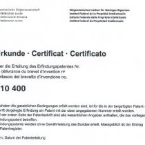 PDF Download - Patent Pflanzentrog mit Absturzsicherung