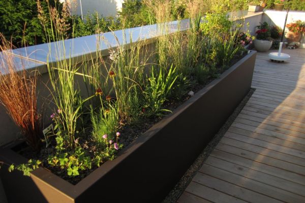DS_95 2017_Terrassenbegrünung.JPG
