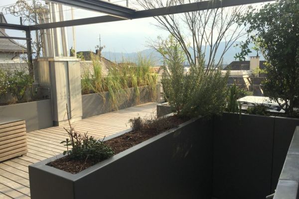 GA 2 das aufwändige Giessen auf der sonnigen Terrasse übernimmt unser Bewässerungssystem.JPG