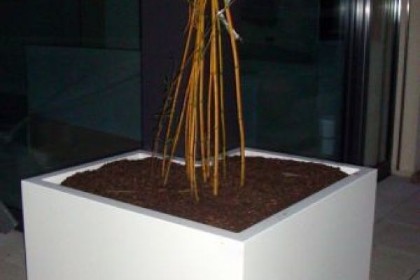 GT_06_um_Gebaeudeecke_laufender_Pflanzentrog.JPG