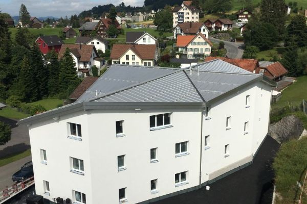 ZE1_Blechdach_mit_Kreuzfirst.JPG