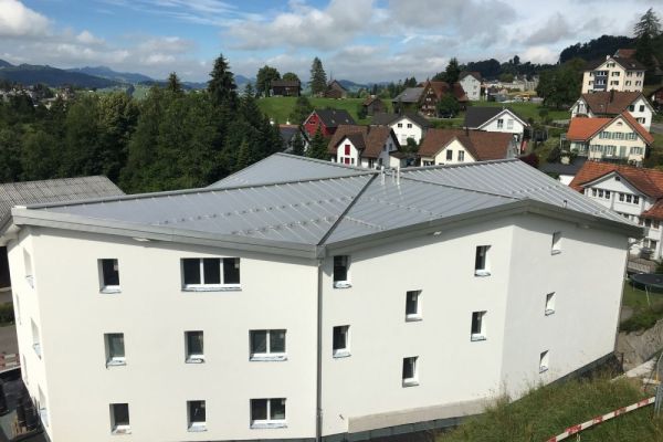 ZE2_Blechdach_mit_Kreuzfirst.JPG