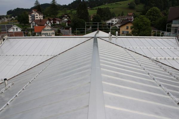 ZE3_Blechdach_mit_Kreuzfirst.JPG