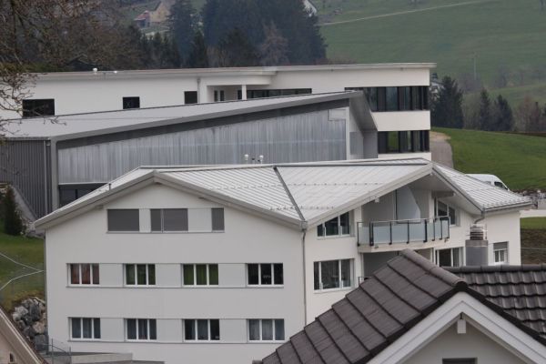 ZE4_Blechdach_mit_Kreuzfirst.JPG