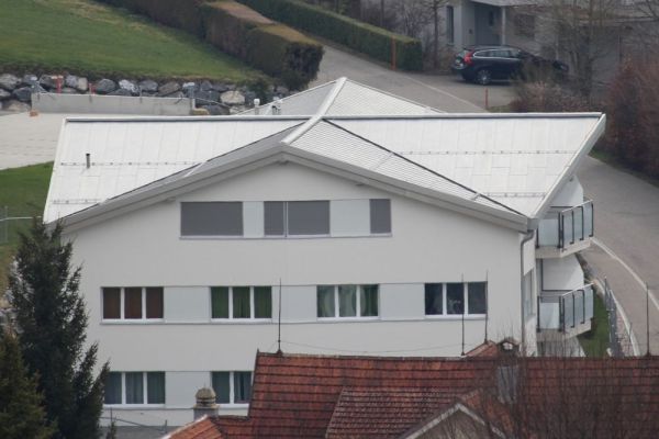 ZE5_Blechdach_mit_Kreuzfirst.JPG