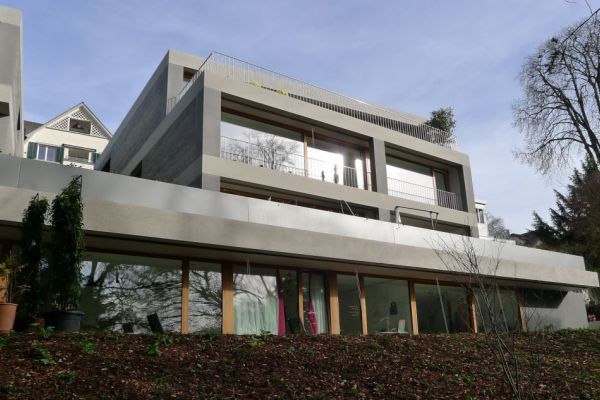 AA_39 2017_Pflanzentröge_als_Terrassenabschluss_auf_gesamter_Objektlänge.JPG