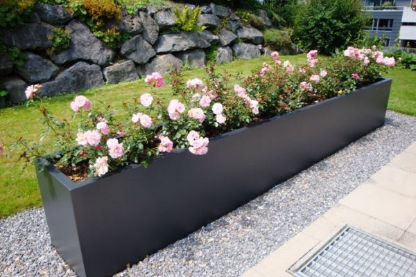 AB_50_Pflanzentrog_mit_Rosen_Laenge_500cm_Breite_55cm_Hoehe_65cm.JPG