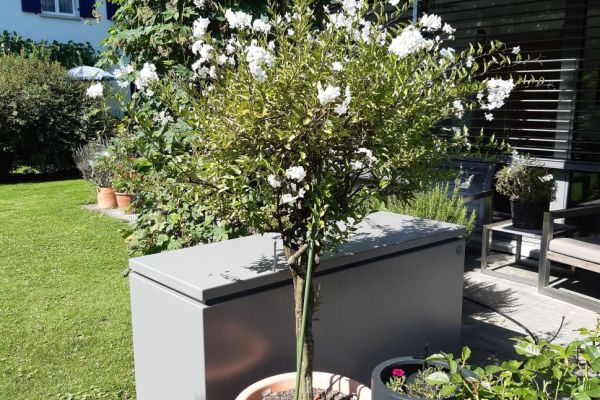 Gartentruhe_Sitzplatz.jpg