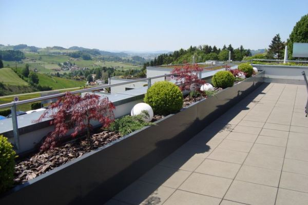 RO_06 2017_rohnerteufen.ch.JPG