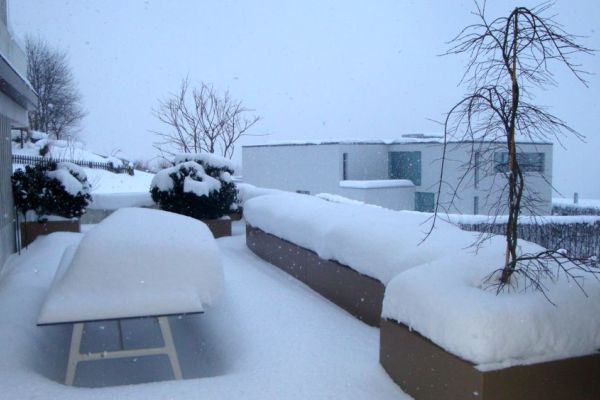 A_65 unsere Pflanzentroege sind winterhart und frostsicher.JPG