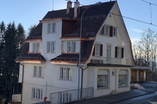 BI1_Steildach_mit_Dachaufbauten.JPG