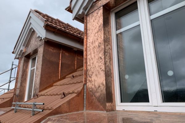 SD7_Gauben_Kupfer.JPG