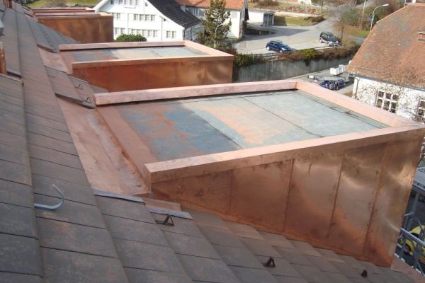 OC2_Steildach_mit_Flachdachgauben.JPG