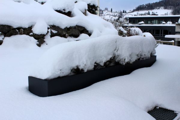 AB_51 2017_Winterhart_und_frostsicher.JPG