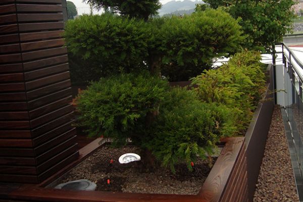 BR_53 Rohner Pflanzentrog mit Holzverkleidung und Gartenschlauchbox.jpg