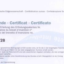 PDF Download - Patent Pflanzentrog mit Isolationsschicht