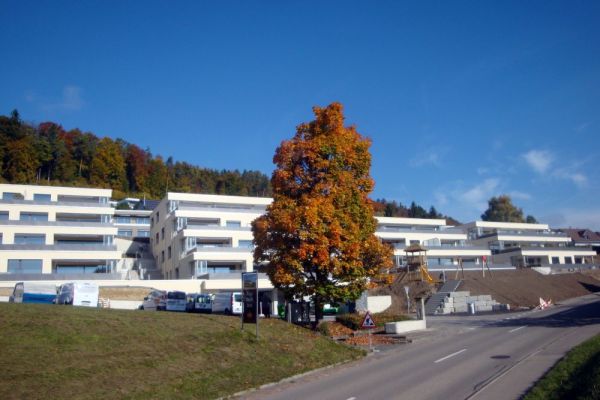 DSC02646 GLH 4 Pflanztröge als edle Akzente und Gebäudeabschluss.JPG