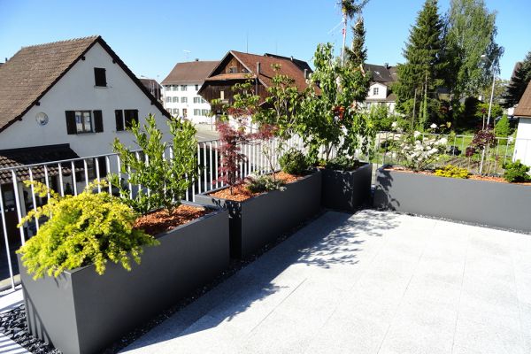 B_81_Platzierung_mit_Abstand_zwischen_den_einzelnen_Pflanzentroegen.jpg