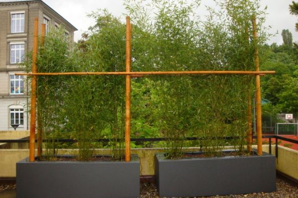 QA_3_Bekleidung_bestehender_Holztroege.JPG