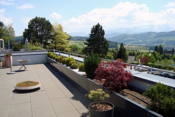RO_05 2017_rohnerteufen.ch.JPG