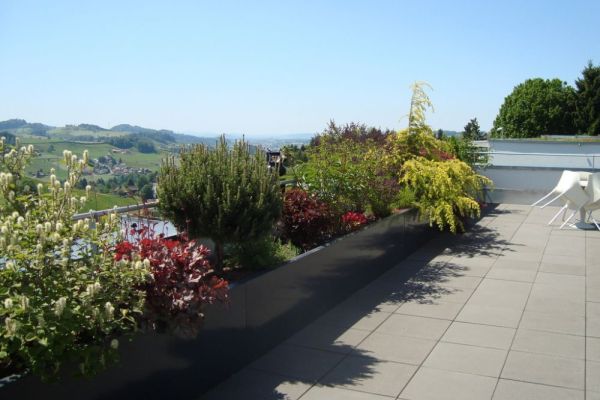 RO_07 2017_rohnerteufen.ch.JPG