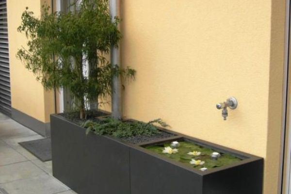 DD_58_Wasserbehaelter_mit_Seerosen.JPG