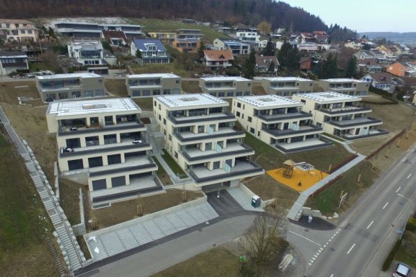 DJI_0090 Herd.JPG