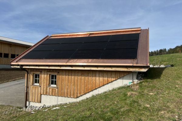 SP4_Garagendach_mit_PV-Anlage.JPG