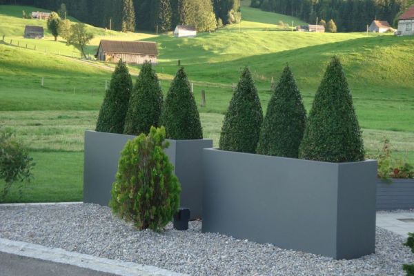 DE_40_hohe_Pflanzentroege.JPG