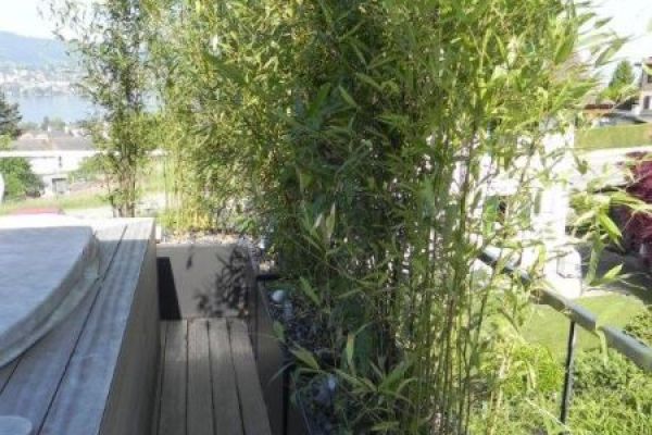 DK_46_Pflanzentroege_mit_Bambus_rohnerteufen.ch.jpg