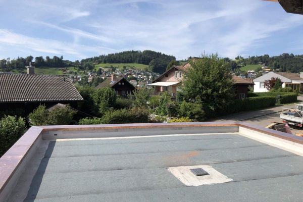 PR2_Terrassenabschluss_mit_Mauerabdeckungen.jpg