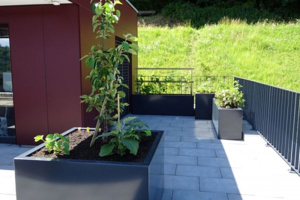 BL_02_einzelne_Pflanzgefässe_auf_einer_Terrasse.JPG