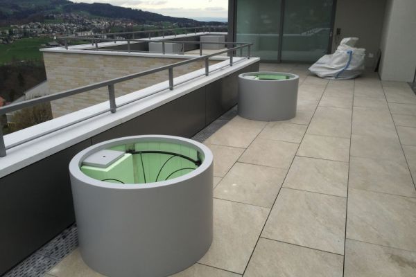 BU_40 2017_einzeln_gestellte_Pflanzentröge_mit_Wasserzuführung.JPG