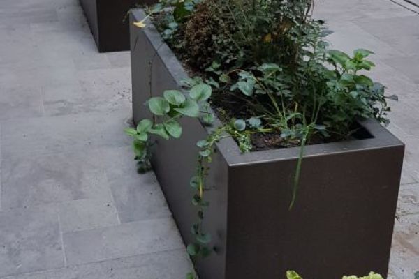 CA_01_Gehweg-Passage_mit_einzelnen_Pflanztrögen.jpg