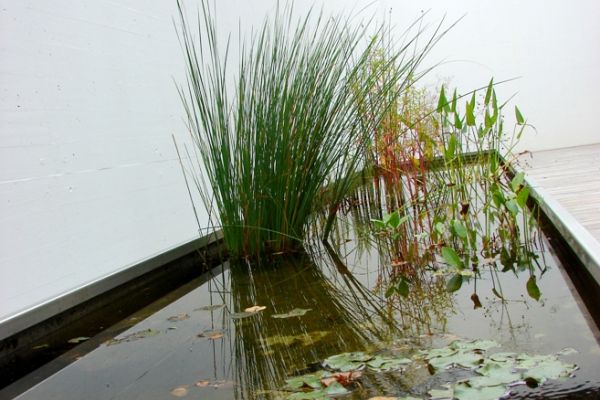 DW_02_berechnete_Wasserdurchflutung_im_gesamten_Wasserbecken.jpg