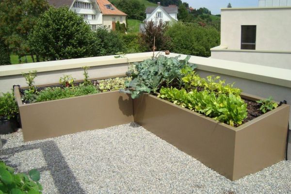 C_91 2017_Gemuesegarten_Rohner_ AG_9053_Teufen_www.rohnerteufen.ch.JPG