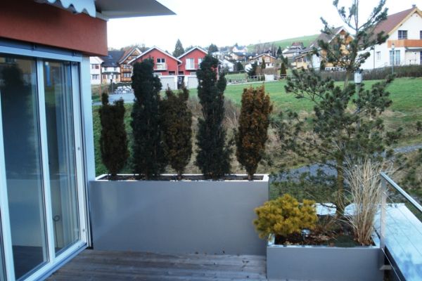 DS_56_Pflanzentroege als Gelaender integriert.jpg