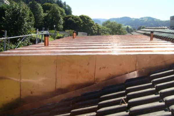 IB_10_Kupfer_Dachgaube.JPG