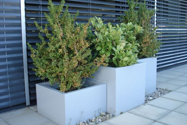 Standardlinie Rohner AG_7.jpg