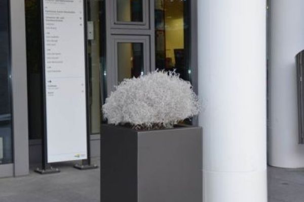 CP_21_hoher_Trog_mit_unaufdringlicher_Bepflanzung.jpg