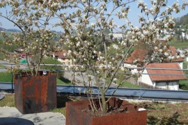 C_51_Pflanzentroege_Stahl_rostend_rohnerteufen.ch.jpg