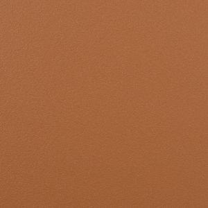 Farbfaecher-Braun_Appenzell.jpg