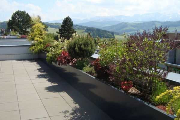 RO_08 2017_rohnerteufen.ch.JPG