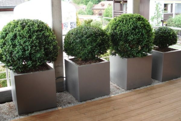 B_75_Pflanzentroege_rohnerteufen.ch.jpg
