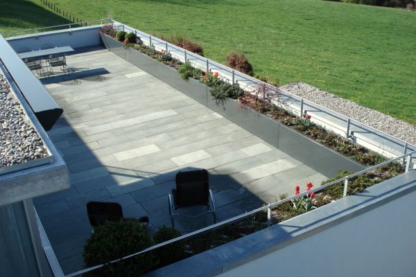 C_20 2017_Pflanzentroege_rohnerteufen.ch.jpg