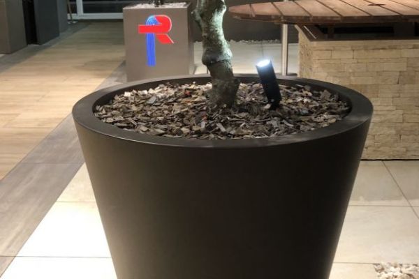 KR_03_konischer_runder_Trog_mit_Pflanzenbeleuchtung.jpg