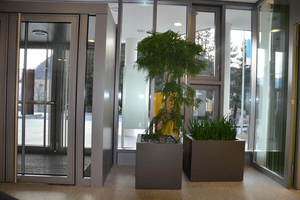 AA_08_Pflanzentroege_mit_verdeckten_Raedern_fuer_eine_einfache_Umplatzierung.jpg