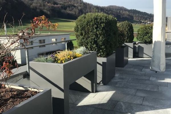 Hochbeet und Pflanzentröge_Terrassengestaltung.jpg