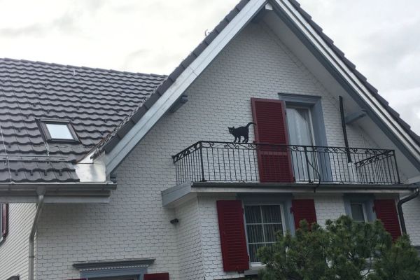 PL2_Kreuzfirstdach_mit_Ziegeldeckung.JPG