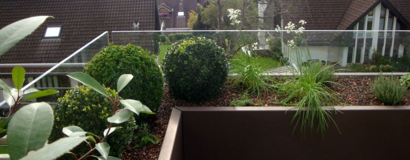 Pflanztröge mit Glasgeländer